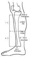 三陰交穴