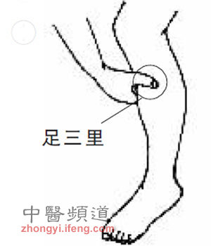 足三里為長(zhǎng)壽穴有6大神效 年過(guò)三十應(yīng)常灸